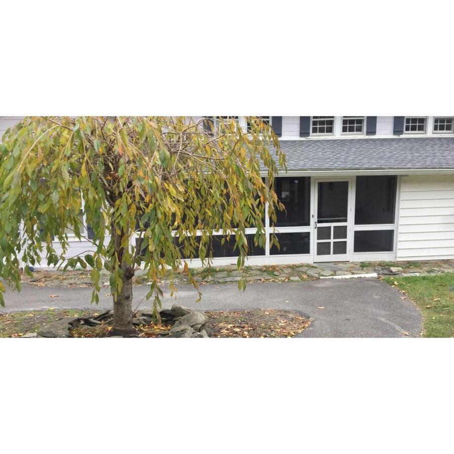 Interlake Rv Park & Campground 라인벡 외부 사진