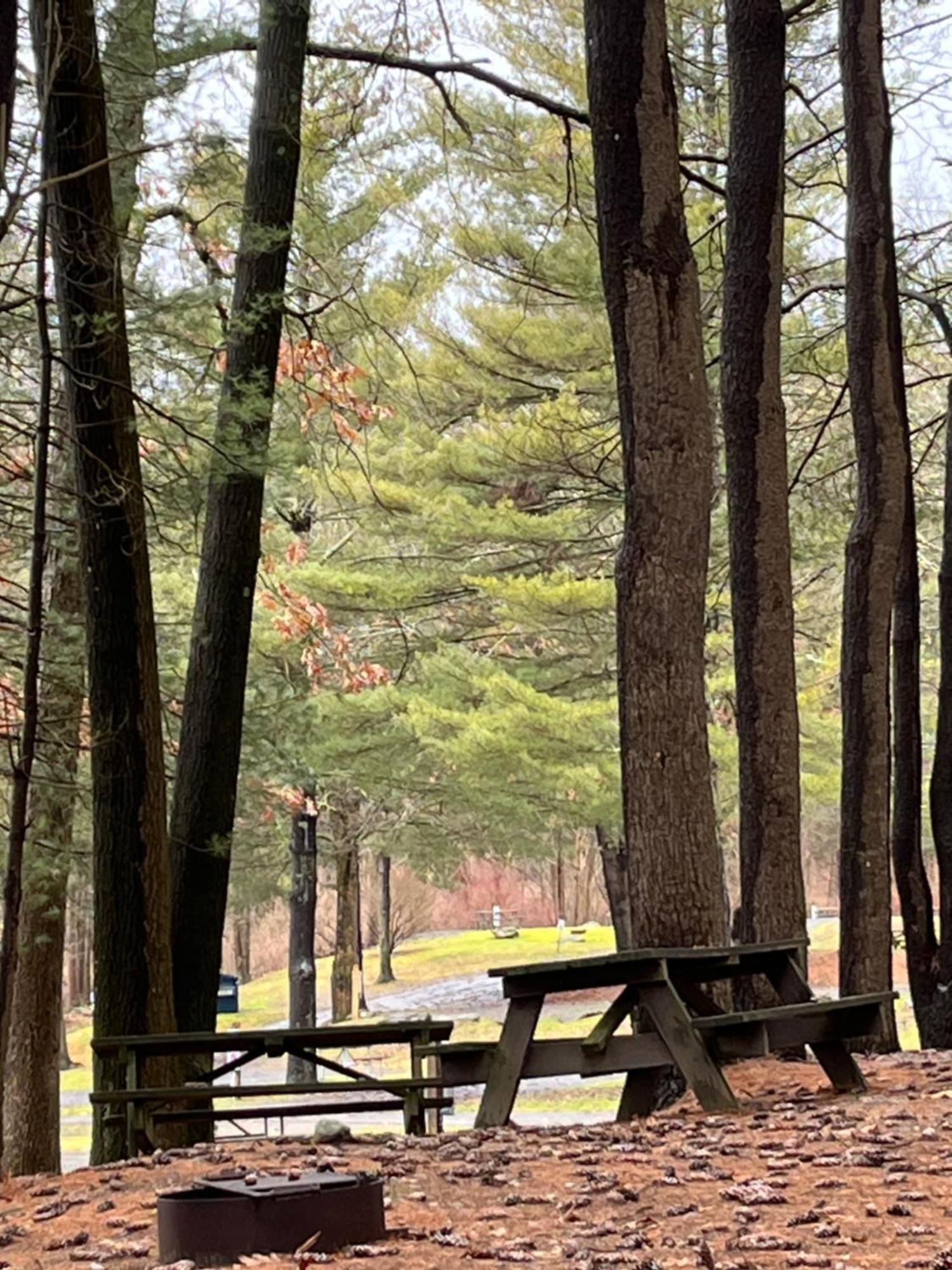 Interlake Rv Park & Campground 라인벡 외부 사진